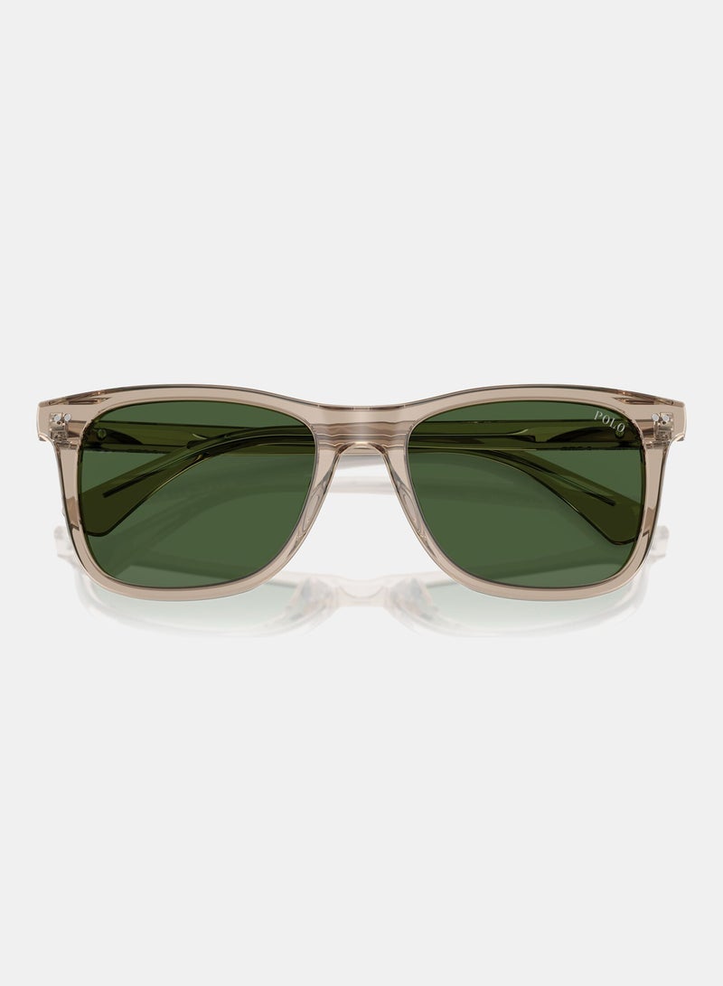POLO RALPH LAUREN Full Rim Square Sunglasses 0PH4220U - Image 4